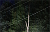 Baum-in-30KV-Stromleitung